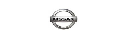 Кольца в приборку Nissan 